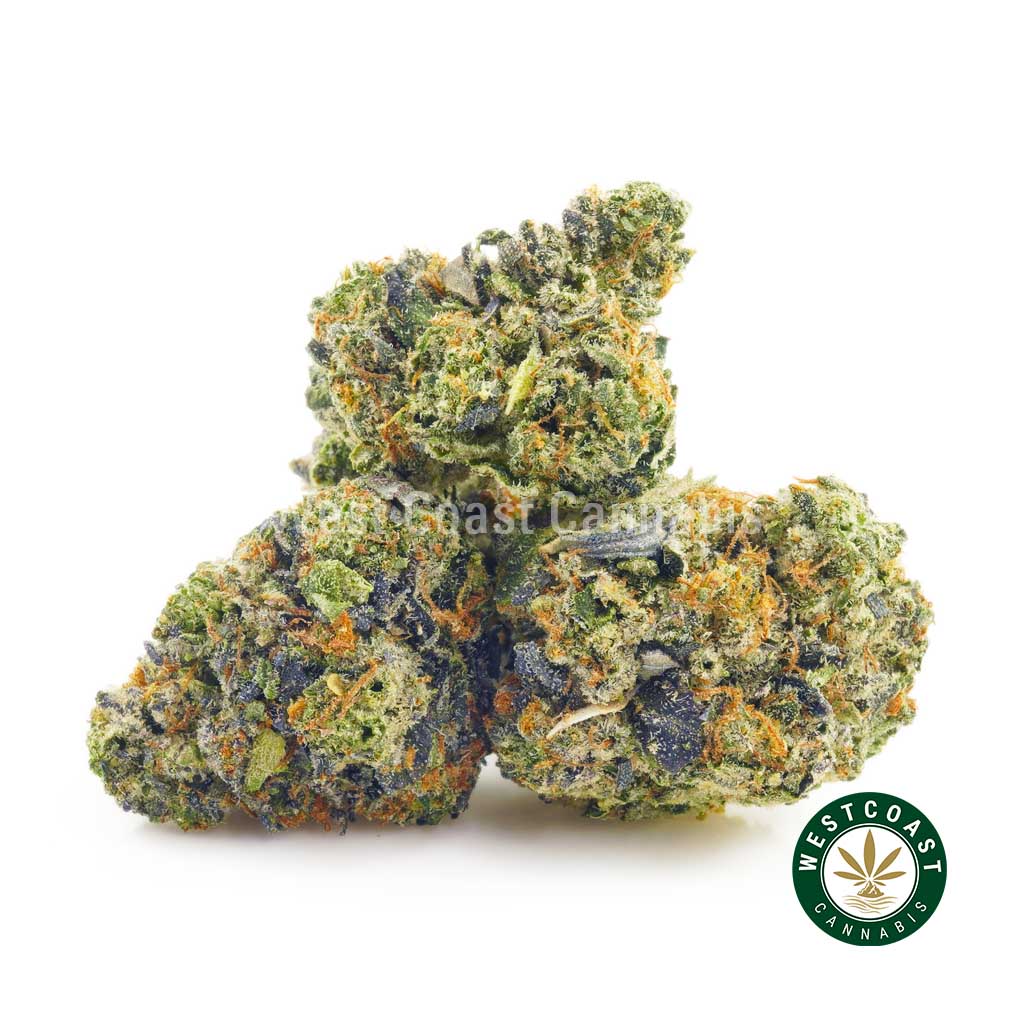 Order weed online Astro Pink from online weed shop west coast cannabis. buy online weeds cannabis canada. buy weed vapes canada.
