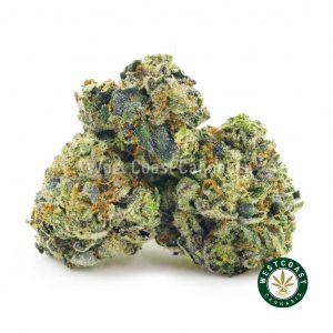 Buy Cannabis Platinum Bubba Popcorn at Wccannabis Online Shop