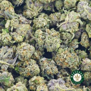 Buy Cannabis Pink Panther Popcorn at Wccannabis Online Shop