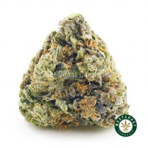 Buy Cannabis Berries and Cream at Wccannabis Online Shop