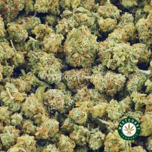 Buy Cannabis Berry White Popcorn at Wccannabis Online Shop