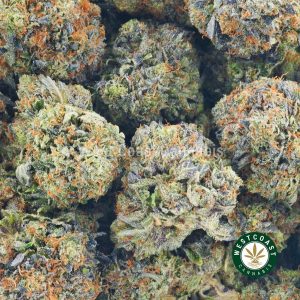 Buy Cannabis Bubba Doja at Wccannabis Online Shop