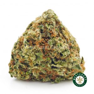 Buy Cannabis Pluto Kush at Wccannabis Online Shop
