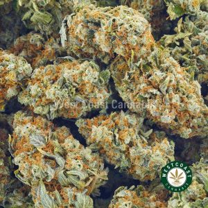 Buy Cannabis Sugar Cookies at Wccannabis Online Shop