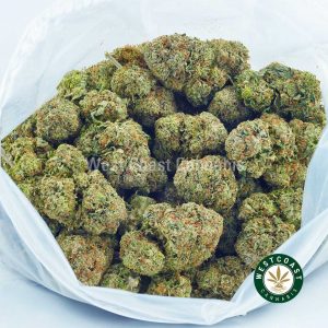 Buy Cannabis Pink Maui Wowie at Wccannabis Online Shop