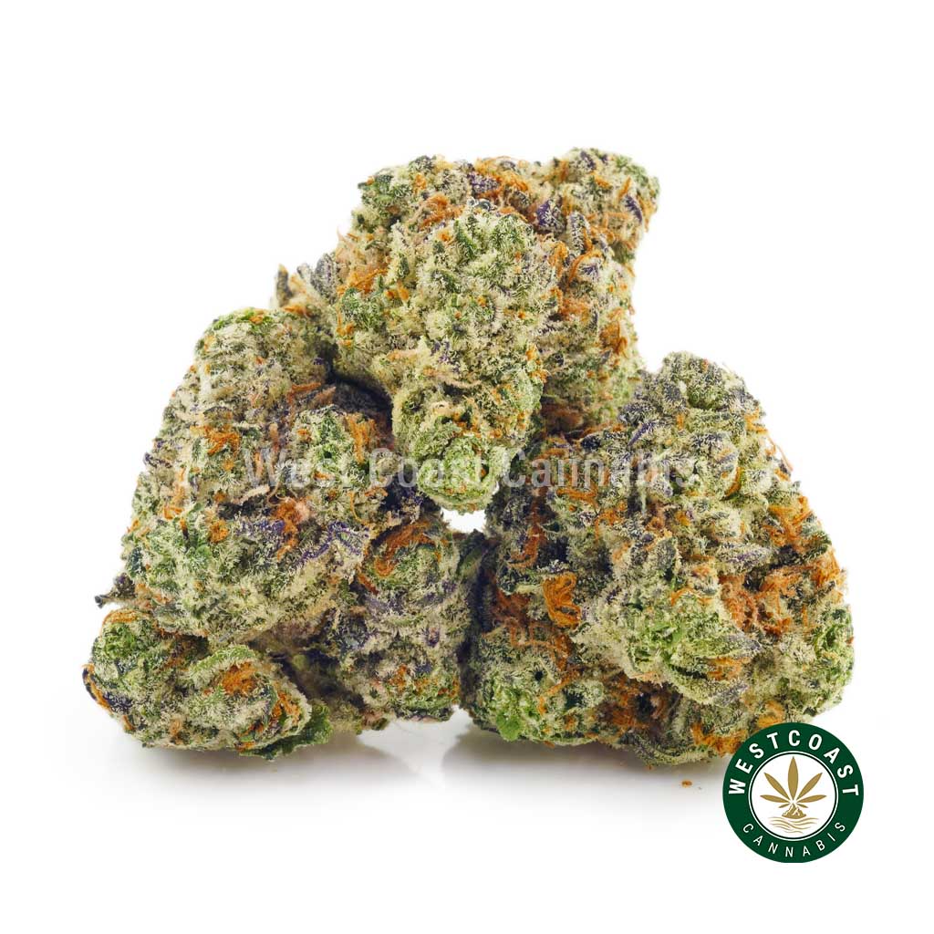 thin mint cookies strain cannabis popcorn weed online from mail order marijuana weed dispensary in Canada.