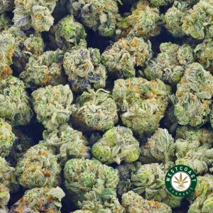 Order weed online thin mint cookies strain from west coast cannabis. Get weed online Canada from online dispensary to buy weed.