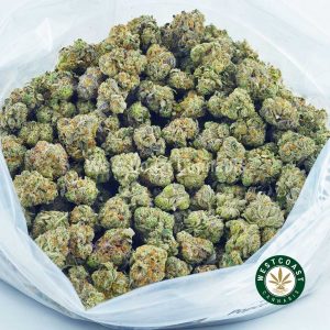 Buy weed online thin mint cookies strain at online weed dispensary west coast cannabis in BC. Mail order marijuana weed online.