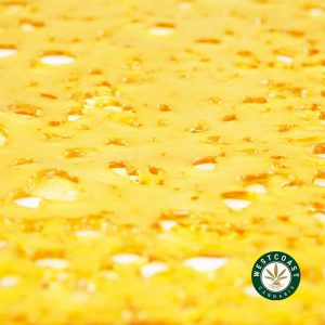 buy shatter online. Premium Shatter California Orange strain from west coast cannabis online dispensary for cannabis concentrates and dabs in Canada.