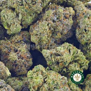 Buy Cannabis Pink Fire OG at Wccannabis Online Shop