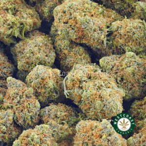 Order weed online pineapple chunk strain from west coast cannabis online dispensary Canada.