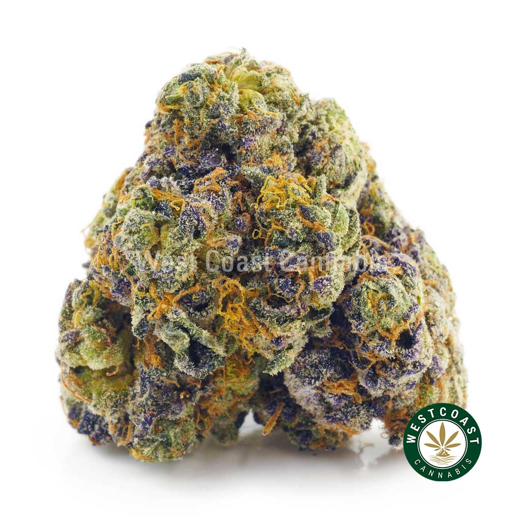 order weed online acdc strain get fast shipping in Canada from west coast cannabis. mail order marijuana canada. order weed canada. buy edibles online canada.