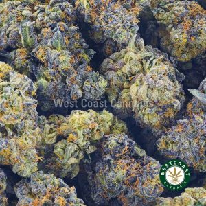 order weed online acdc strain from west coast cannabis. buy weed concentrates online. mail order weed.
