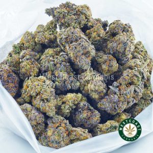 buy weed acdc strain from west coast cannabis canada online dispensary in BC. buy weed. weed online. buy edibles canada. order weed online canada.