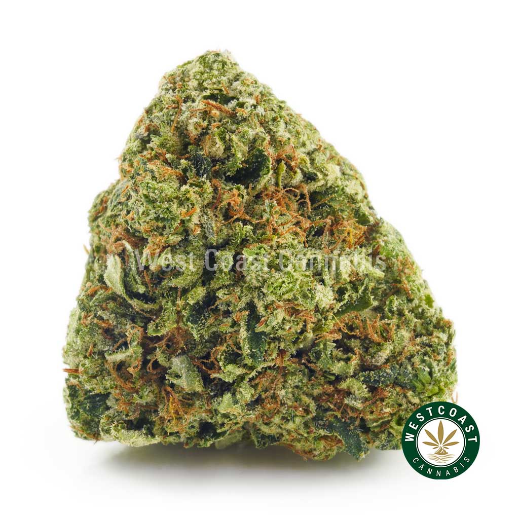 Buy Pink OG AAA Online - West Coast Cannabis