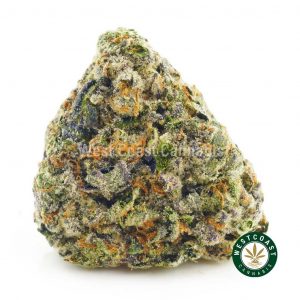 Buy White Punch weed online from mail order weed shop west coast cannabis canada. buy online weeds at Canada's best online dispensary.