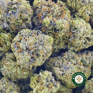 Order weed White Punch strain in Canada. BC bud. buy weed. online dispensary. mail order weed.