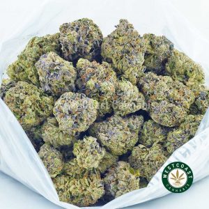 buy weed White Punch strain. buy online weeds. best online dispensary canada. mail order marijuana.