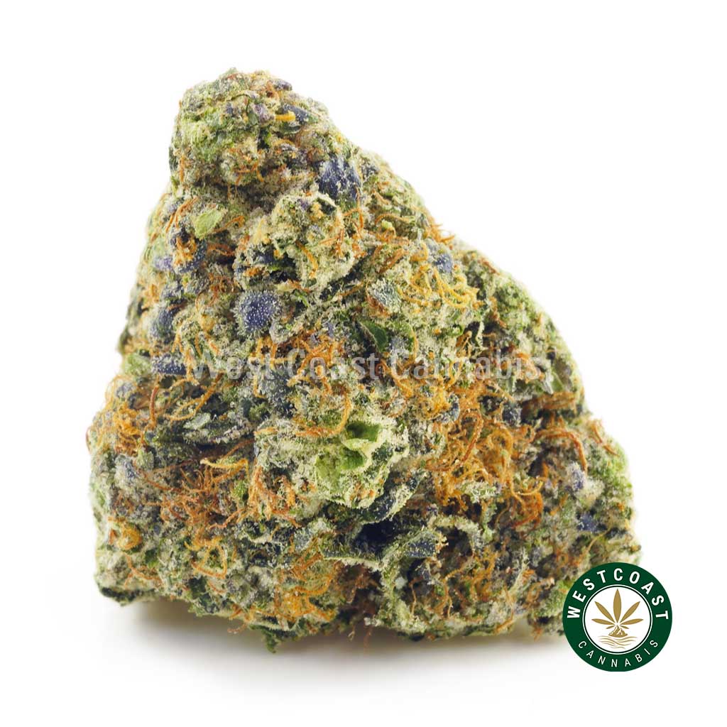 Buy Dank Sinatra strain weed from west coast cannabis online dispensary & mail order weed shop. buy weeds online. mail order weed canada. weed online