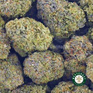 Buy weed online Cali Bubba strain from mail order weed online dispensary west coast cannabis canada. buy online weeds.