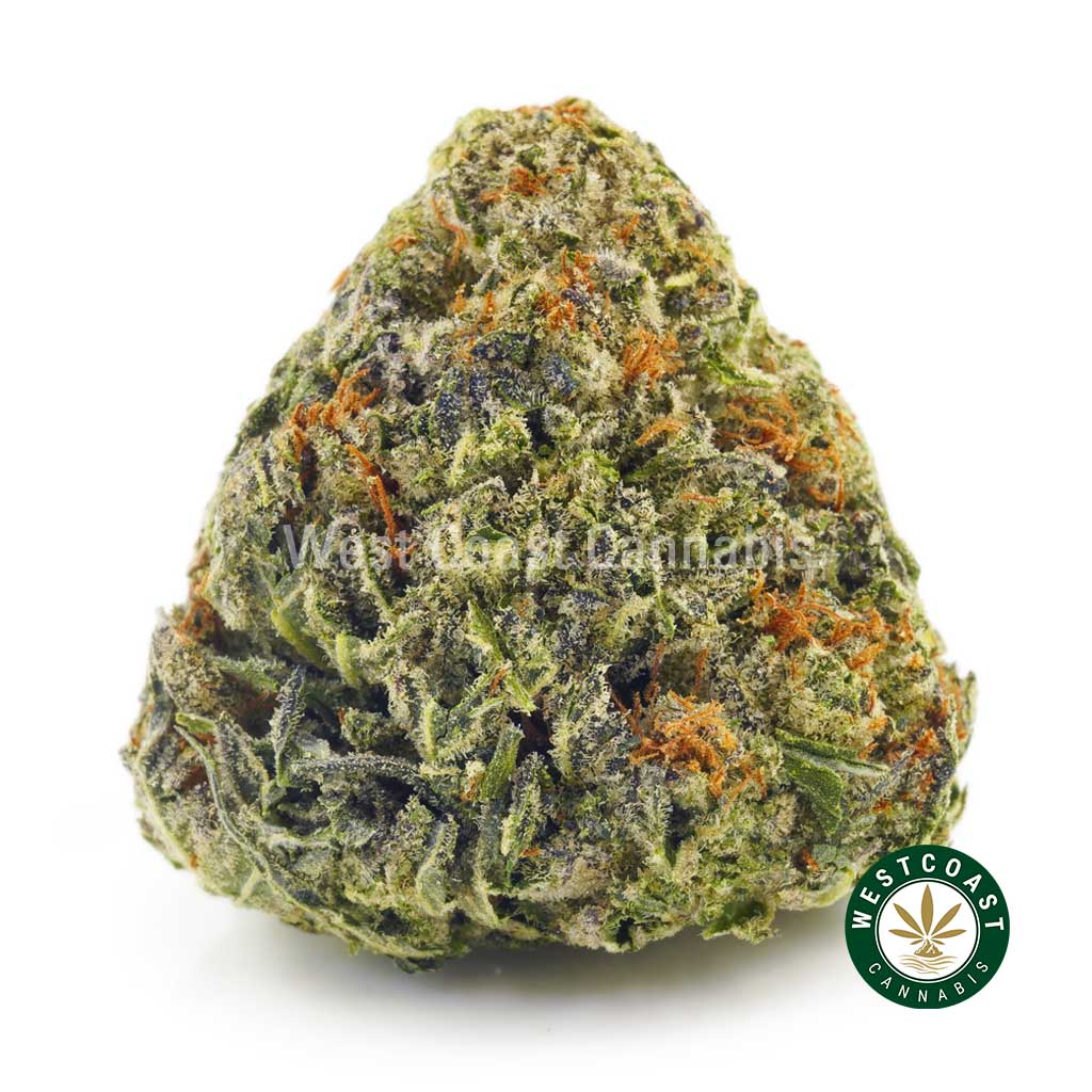 Buy weed online Bio Diesel strain from mail order weed online dispensary west coast cannabis canada. buy online weeds.