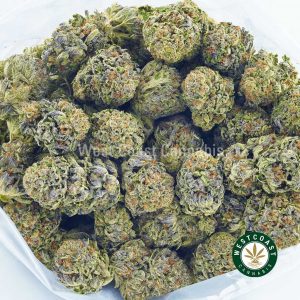 Buy weed online Bio Diesel strain from mail order weed online dispensary west coast cannabis canada. buy online weeds.