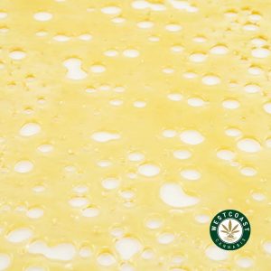 Buy shatter online Sherbet Cake strain. Order cannabis concentrates from online dispensary & mail order marijuana weed online.