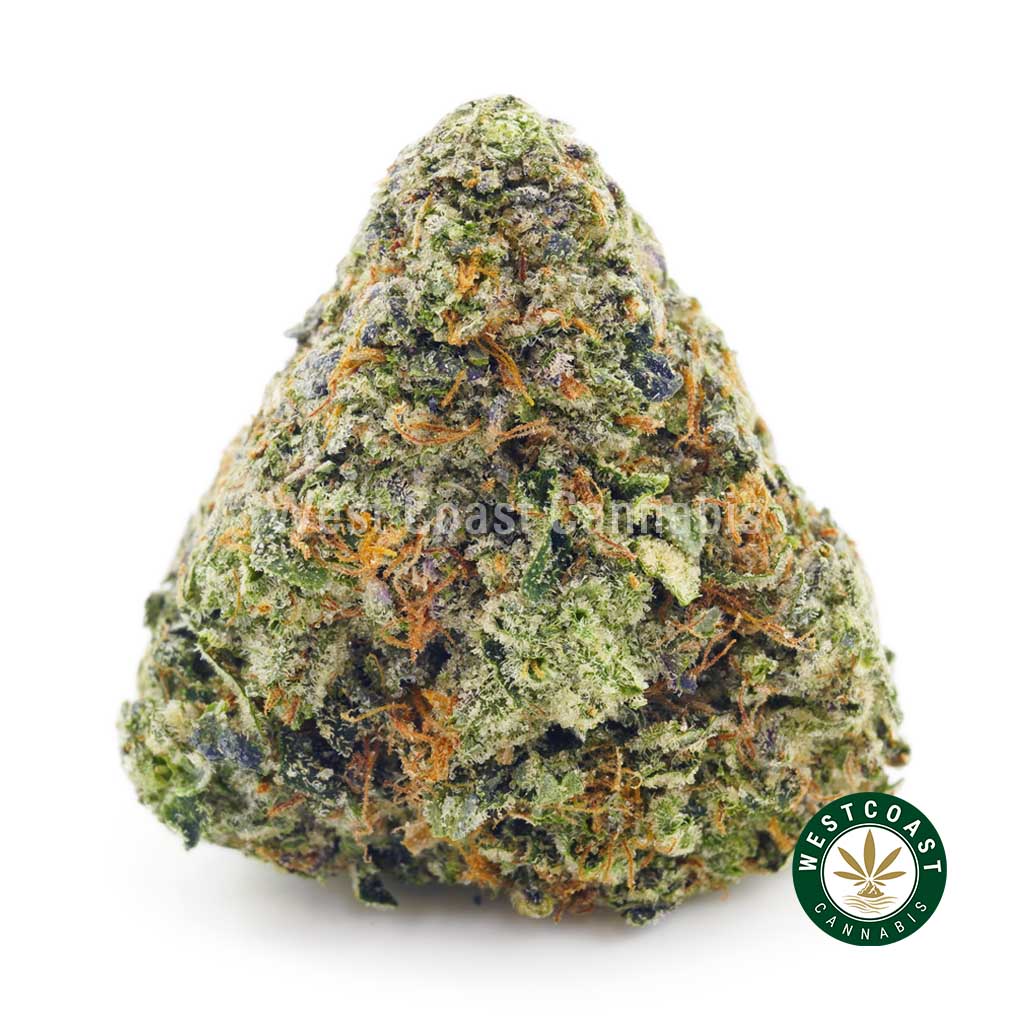Order weed online Purple Train Wreck from mail order weed dispensary west coast cannabis. order cannabis online. buy online weeds.