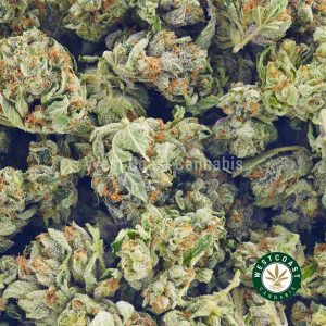 Buy Cannabis 89 Octane Popcorn at Wccannabis Online Shop