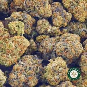 Buy Cannabis Grapefruit Diesel at Wccannabis Online Shop