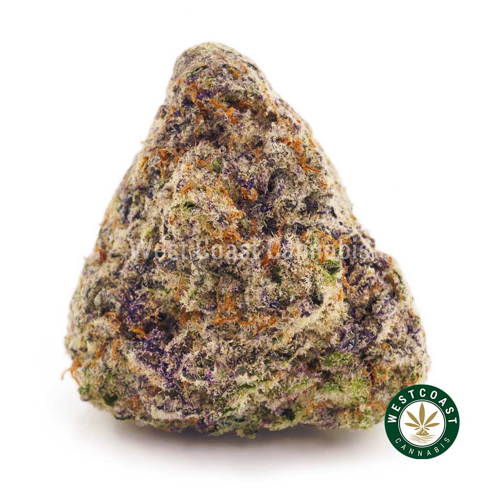 Order weed online Miracle Alien Cookies strain from the best online dispensary in Canada. BC Cannabis. mail order marijuana.