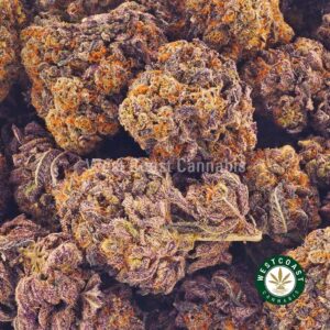 Buy weed Purple Godbud AAAA at wccannabis weed dispensary & online pot shop