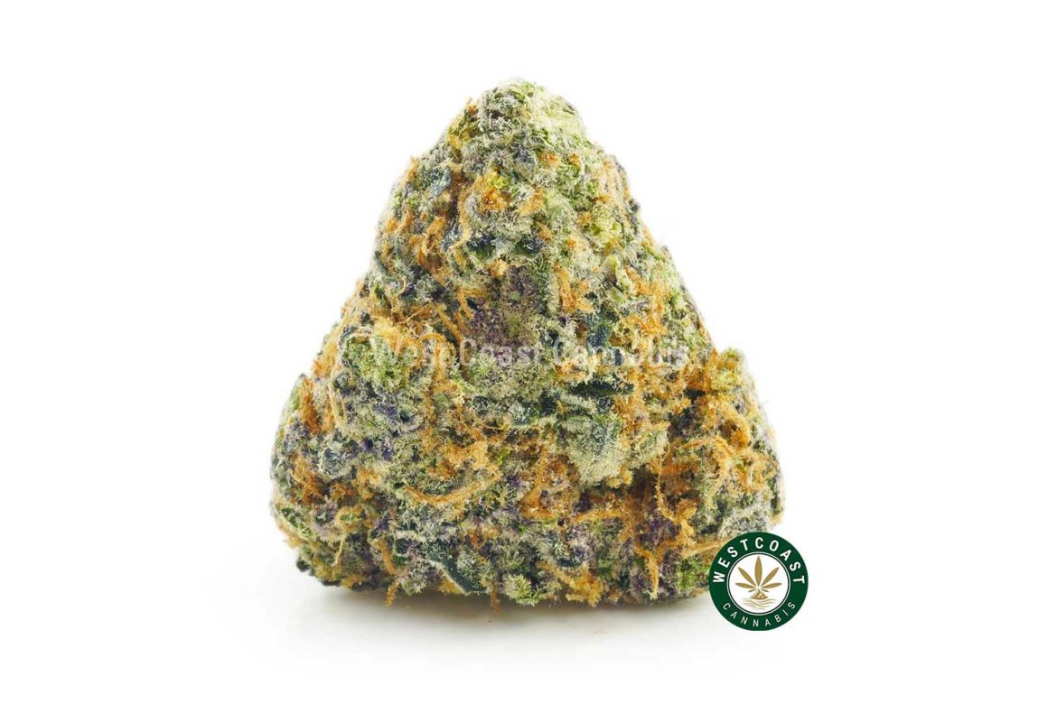 Image of Pink Goo bud nug from online dispensary west coast cannabis mail order marijuana weed shop. buy weed online. buy vapes online canada. top weed site.