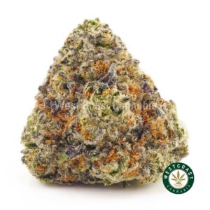 Buy weed Cookie Monster AAAA at wccannabis weed dispensary & online pot shop