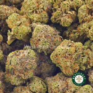 Buy weed Cookie Monster AAAA at wccannabis weed dispensary & online pot shop