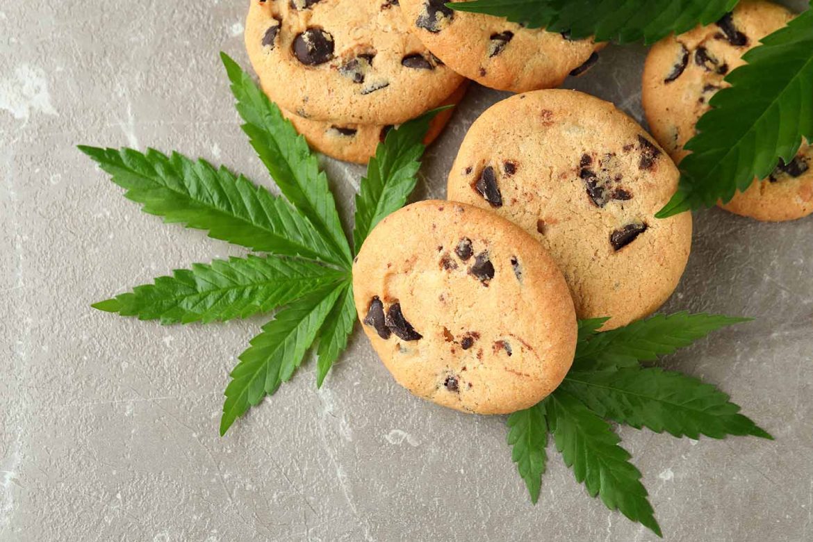 chocolate chip weed cookies marijuana edibles