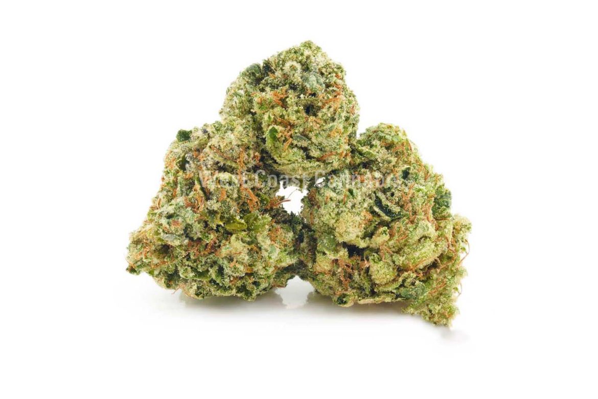 Buy weed Comatose Strain from mail order marijuana online weed dispensary west coast cannabis. weed online canada. top mail order marijuana.