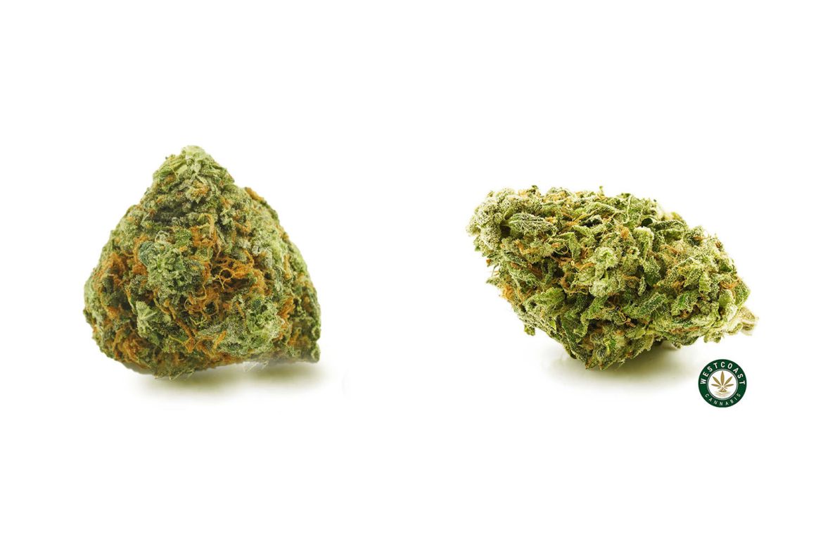 Pineapple Express Strain Review. buy weed online.