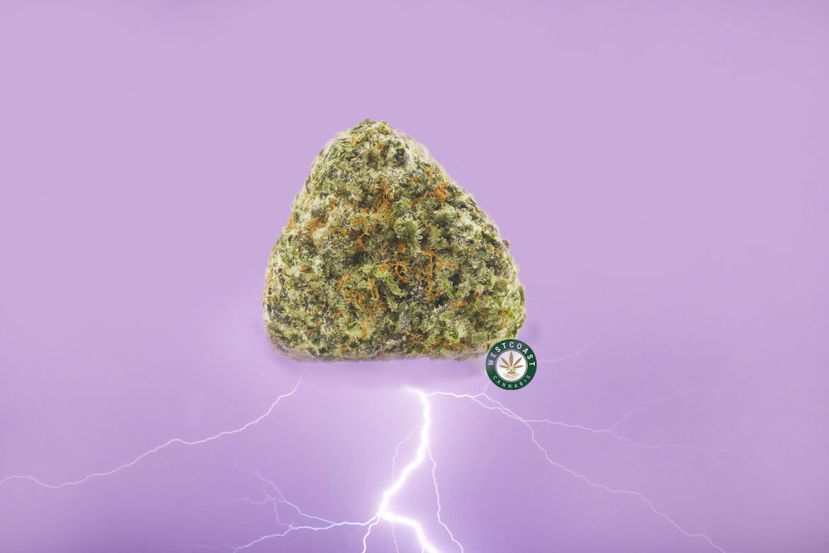 Image of Alaskan Thunderfuck bud from West Coast Cannabis online dispensary in Canada to buy weed online.