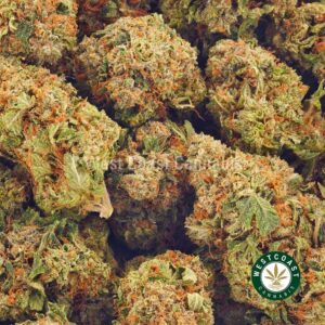 Buy weed Blue Afghani AA at wccannabis weed dispensary & online pot shop