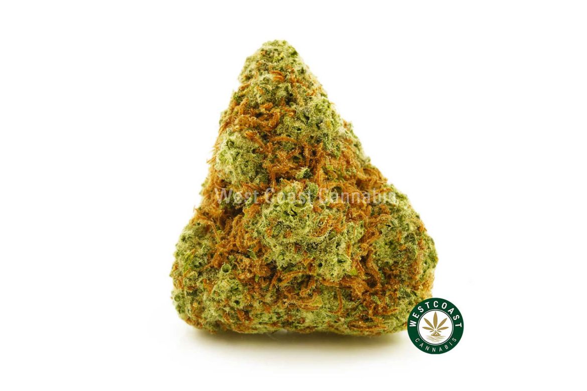 Buy weed Jelly Breath strain from west coast cannabis canada online dispensary.