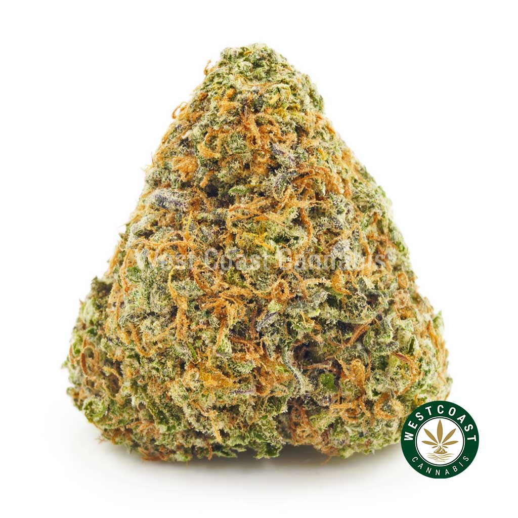 Buy MK Ultra strain weed online Canada. order weed. chemdawg, silver haze strain, and purple dream strain from BC cannabis online dispensary.