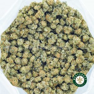 Buy Cannabis Chemdawg Popcorn at Wccannabis Online Shop