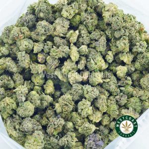 Buy weed blue rhino strain from west coast supply BC cannabis. moon rock weed. pink kush strain, death bubba strain, zombie og strain, and strawberry shortcake strain weed online canada.