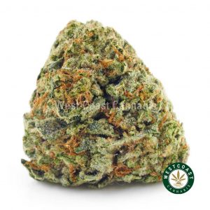 Buy Cannabis Frankenberry at Wccannabis Online Shop
