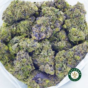 Buy Cannabis Cryo Cure Tom Ford Pink Kush at Wccannabis Online Shop