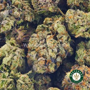 Buy Cannabis Platinum Death Bubba at Wccannabis Online Shop