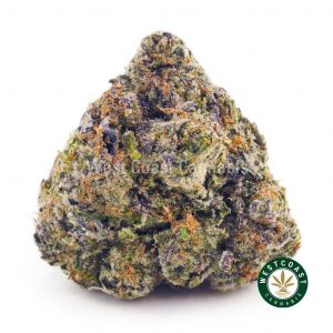 Buy Cannabis Purple Envy at Wccannabis Online Shop