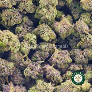 Buy Cannabis Purple Envy at Wccannabis Online Shop