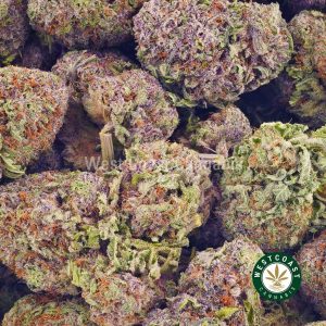 Buy Cannabis Blueberry Crush at Wccannabis Online Shop